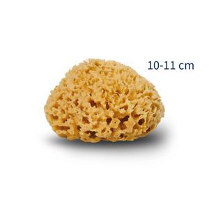 Cocoon Organic Laundry Honey Svamp - Hudpleje  - 5713806007115