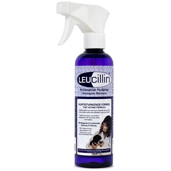 Amp Leucillin Spray 250 - B & B Hudpleje  - 5060998910939
