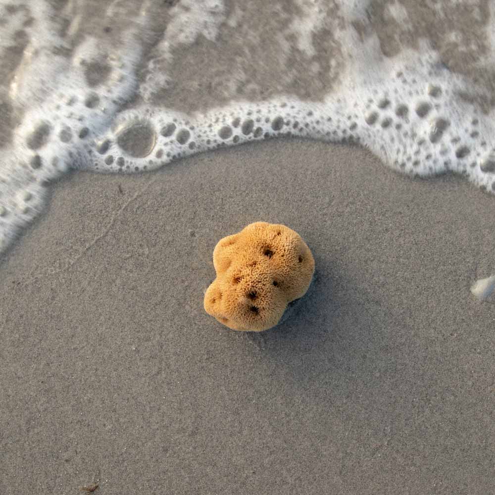 Fine Silk Natursvamp - Hudpleje